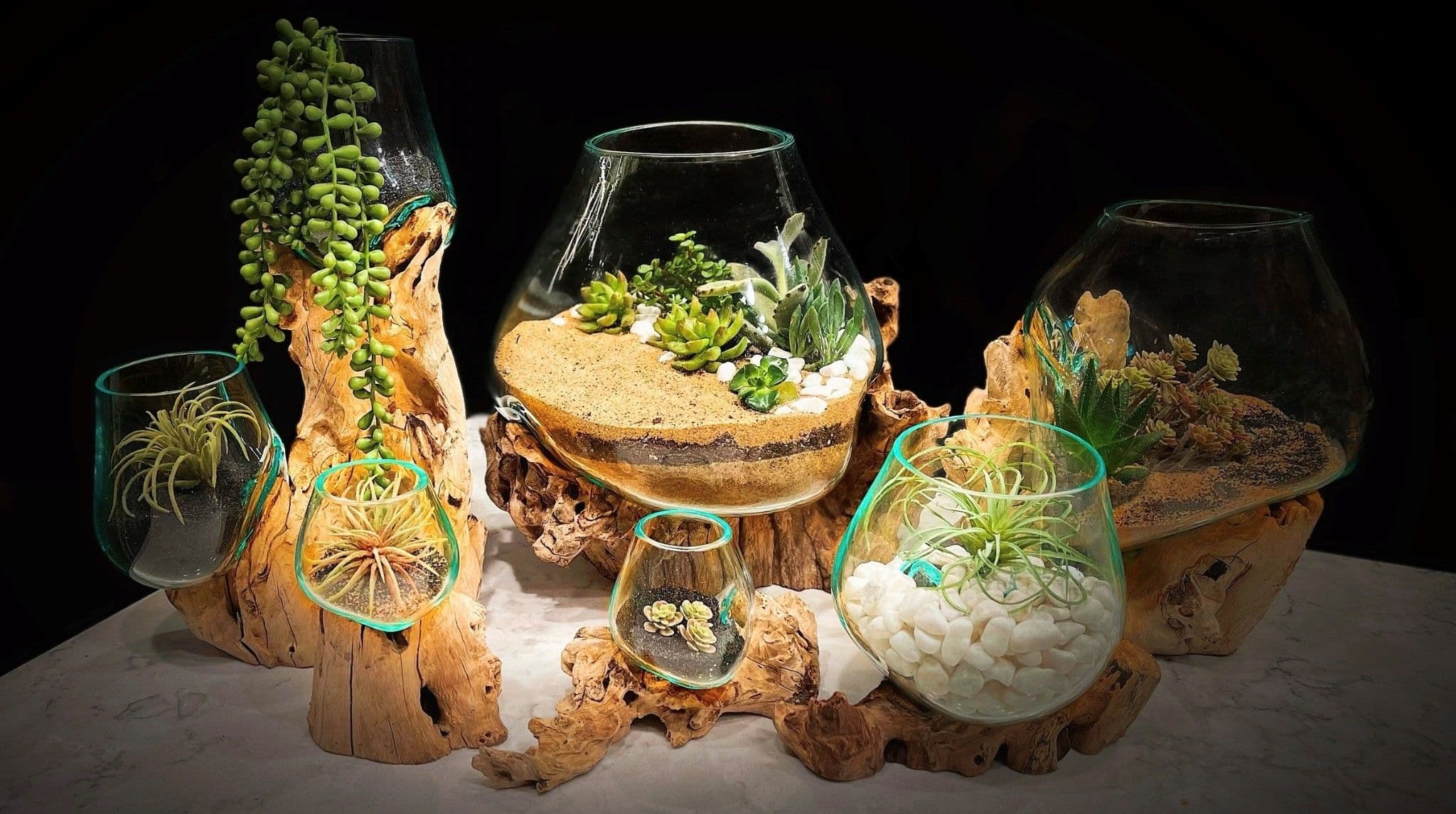 Photo of Stump & Roots